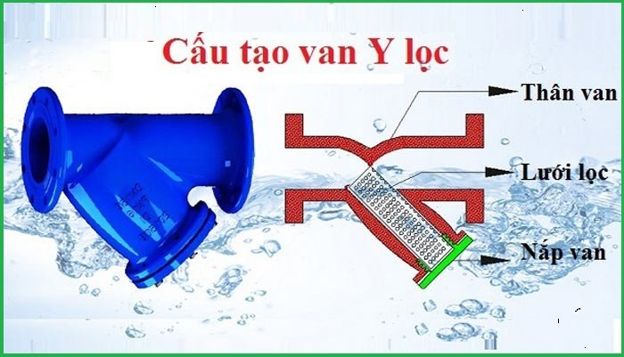 cấu tạo y lọc 