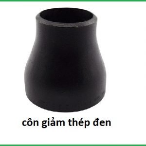 côn giảm thép đen