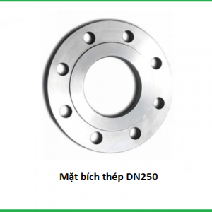 mặt bích thép dn250