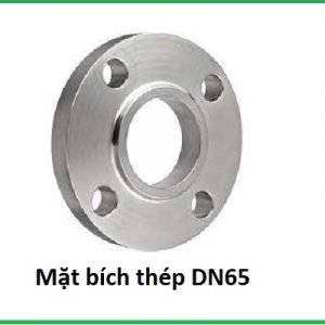 bích thép mạ kẽm dn65