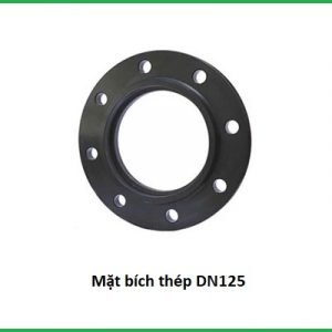 mặt bích thép dn125