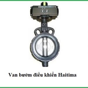 Van bướm điều khiển haitima