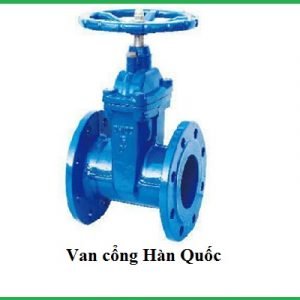 Van cổng Hàn Quốc