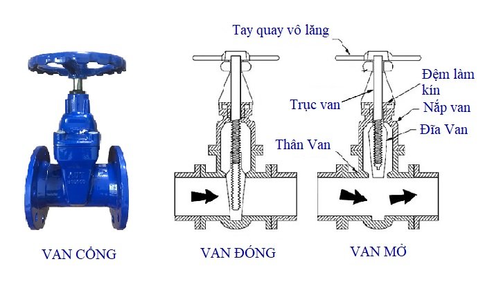 Cau-tao-van-cong-ty-chim-AUT