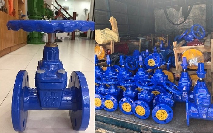 Hình ảnh Van cổng gang DN50